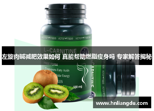 左旋肉碱减肥效果如何 真能帮助燃脂瘦身吗 专家解答揭秘